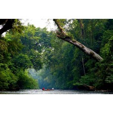 Transfer from National Park to Kota Bahru